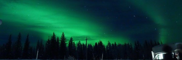 reva_qiu Profile Banner