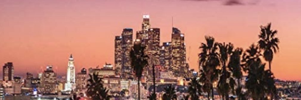 Elizabeth Rodil banner