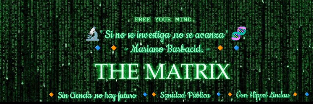 ༺ ✨🧭🧩𝓜𝓪𝔂𝓽𝓮 🧬✨༻ banner