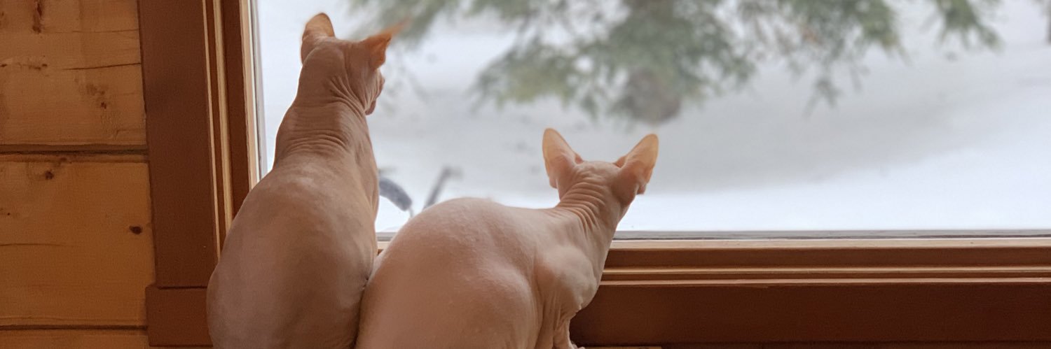 Samantha Berg banner