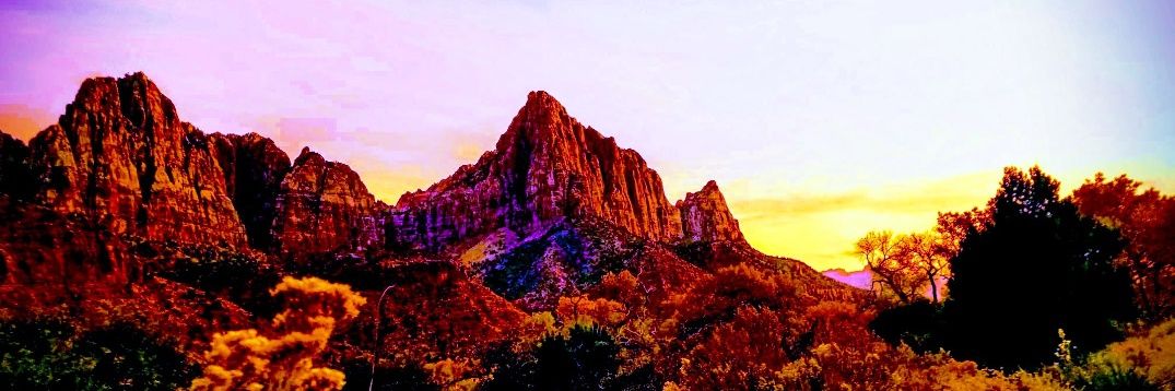 Wasatchdarling's profile banner image
