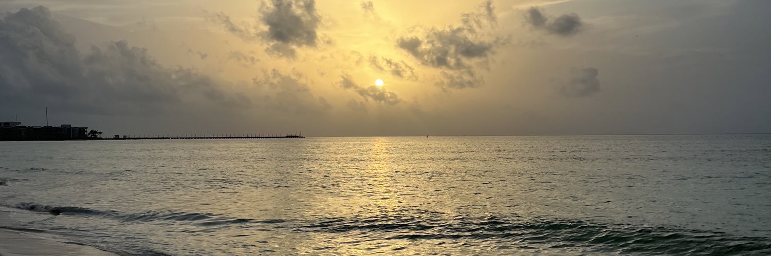 danielatorresx's profile banner image