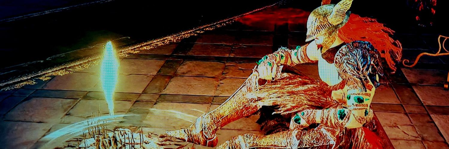 Lorenzo DiDelaware banner