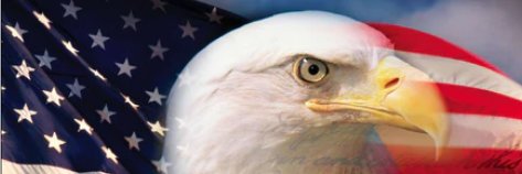 rayguy's profile banner image