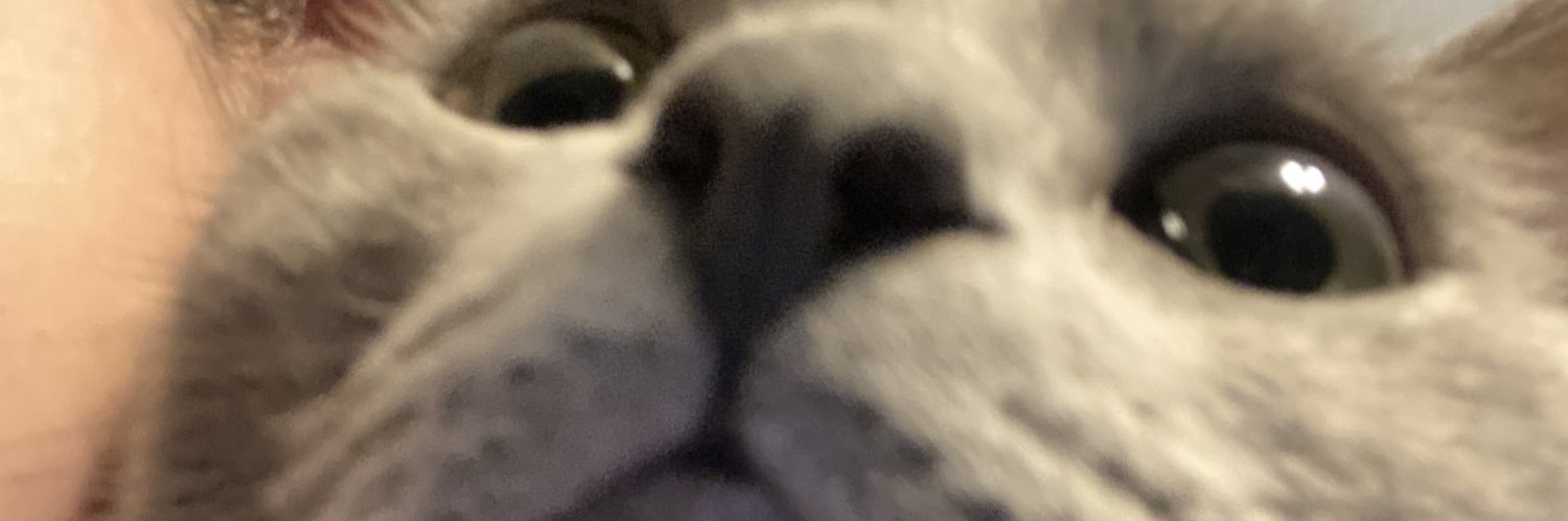 AshleePdm_'s profile banner image