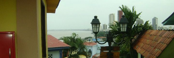GuayacoAPie's profile banner image