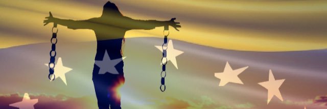 Gineed's profile banner image