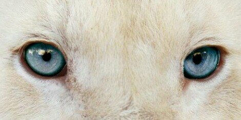 Gabihu's profile banner image