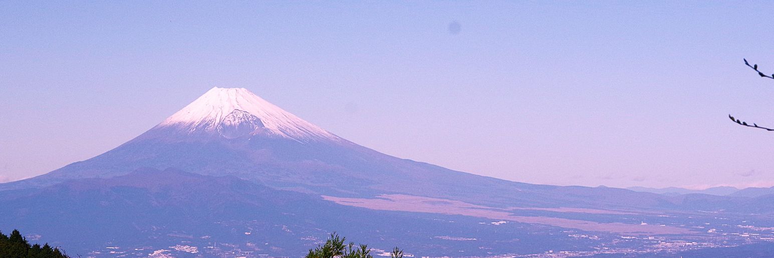 Ｓｅｉ❀7/19〜繁忙期低浮上❀'s banner