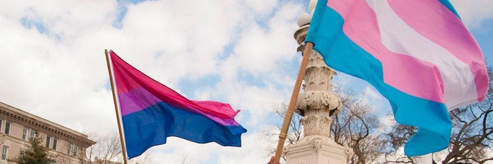 Bi-Trans Alliance banner