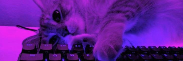 nebubulaa's profile banner image