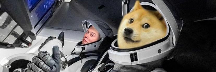bay_doge's profile banner image