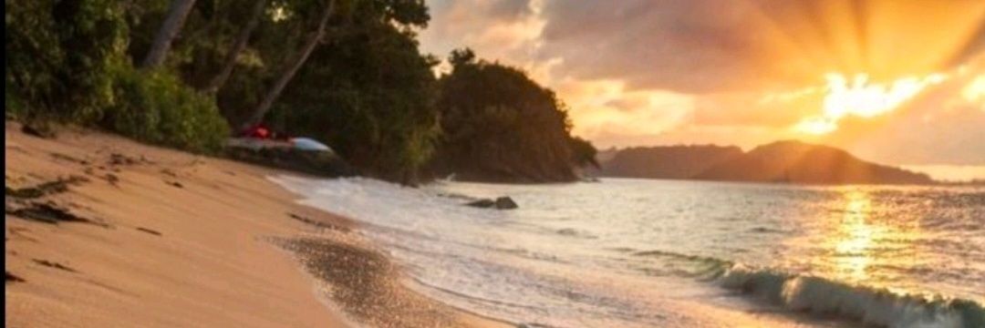 tiqchick's profile banner image