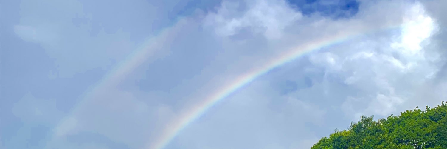 popo_tane's profile banner image