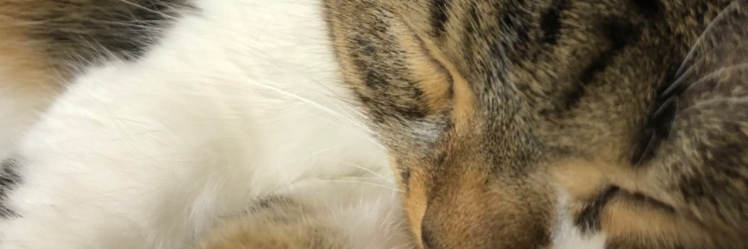 striknowl's profile banner image