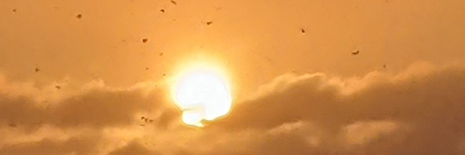 oneone_0818's profile banner image