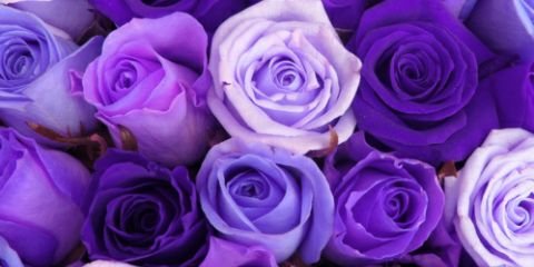 putrisiima's profile banner image