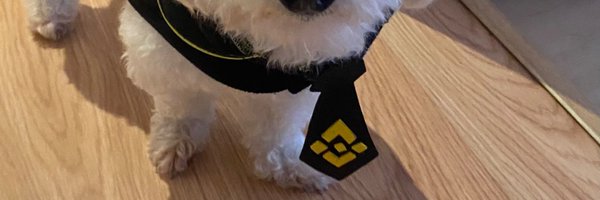 Si_Angel_Crypto Profile Banner