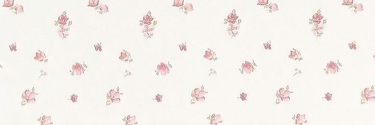 ᓚᘏᗢ banner