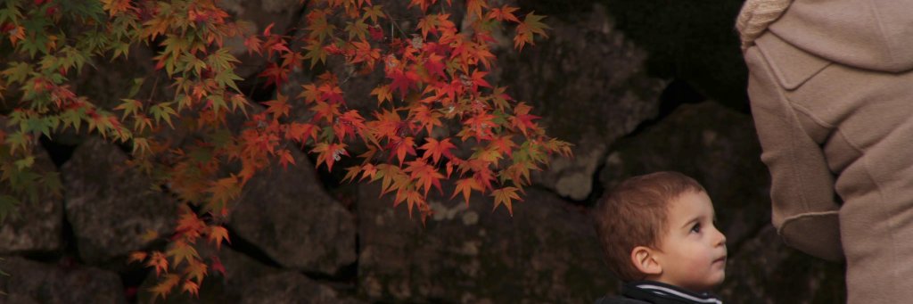 daimurata's profile banner image