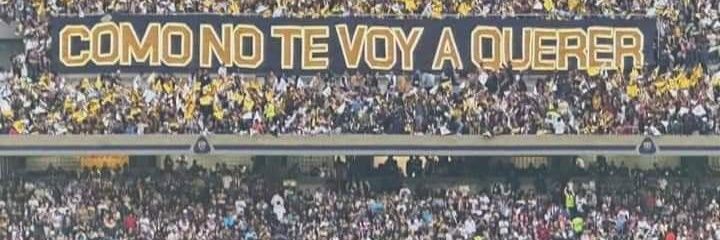 R3b3l boy 🇸🇪 banner