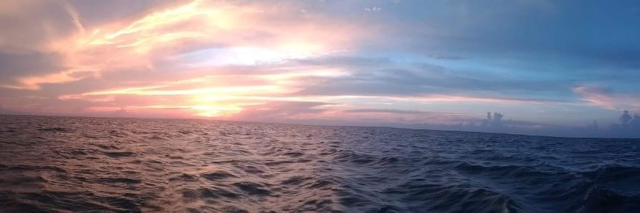 JohaGonzalezA's profile banner image