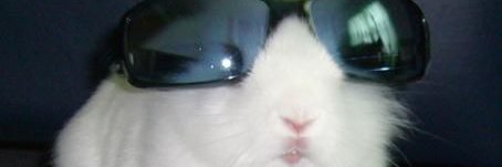 elremerle's profile banner image