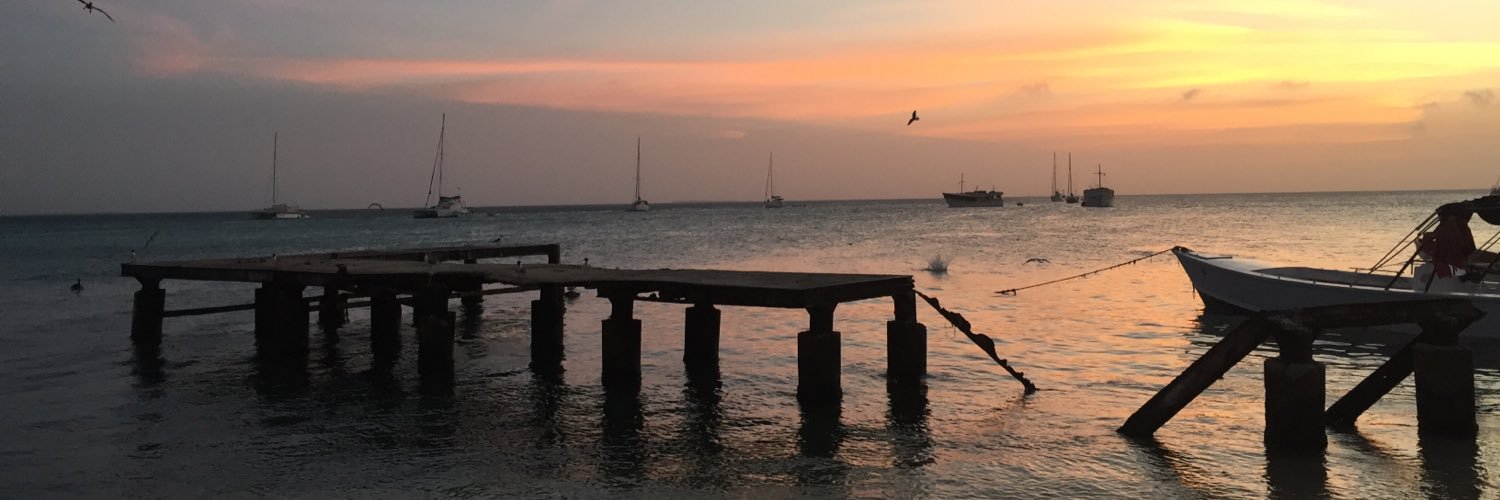 Chio_E's profile banner image
