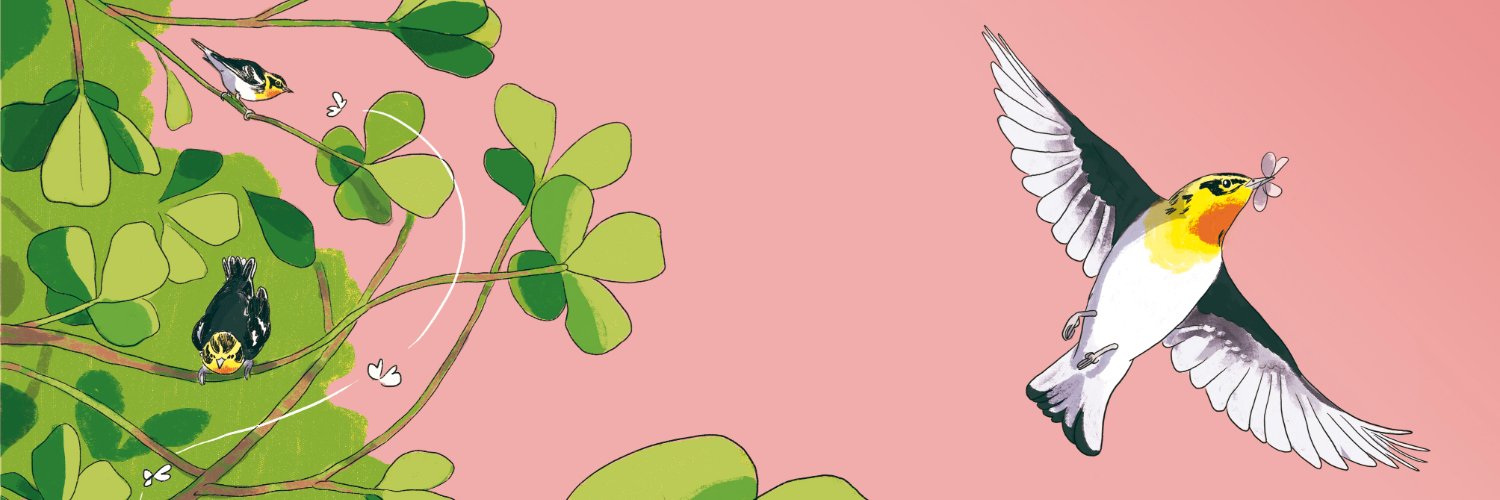 Laura Guarisco banner