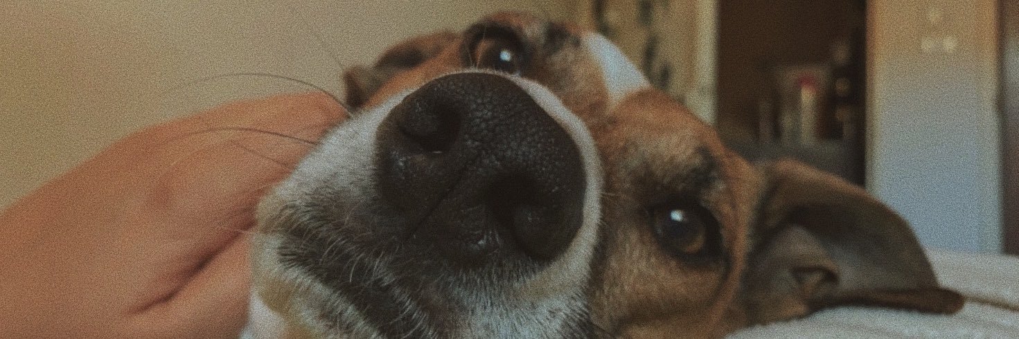 Accremontek's profile banner image