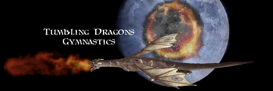DragonVeilsMDA's profile banner image