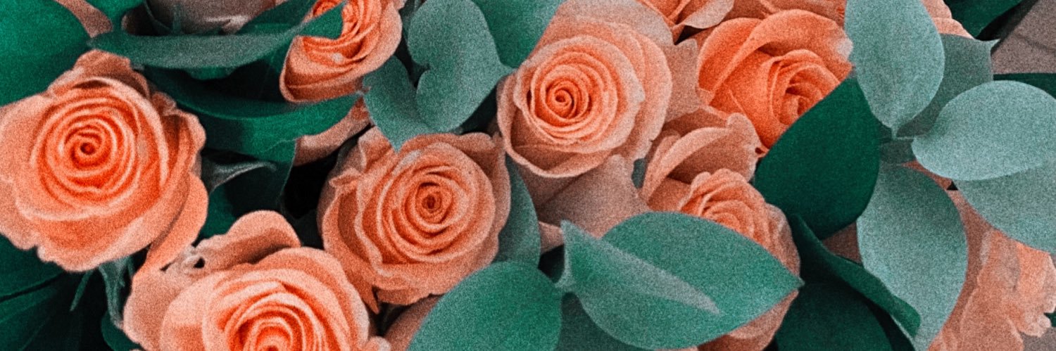 looveelyjay's profile banner image