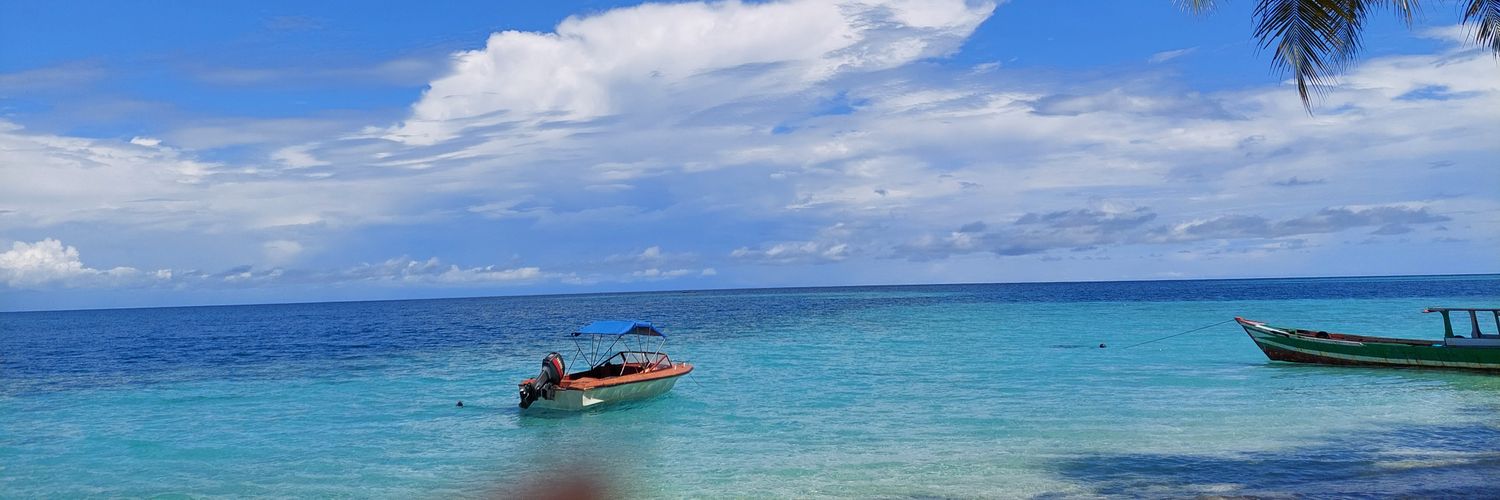 novialaras20's profile banner image