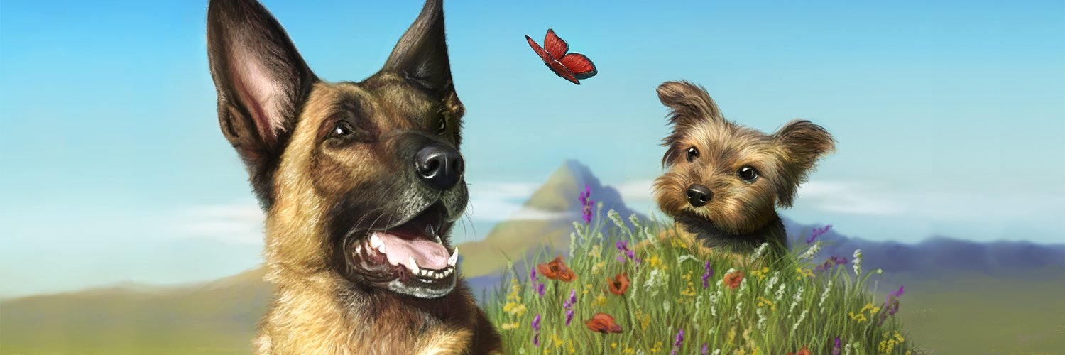 celila9d's profile banner image