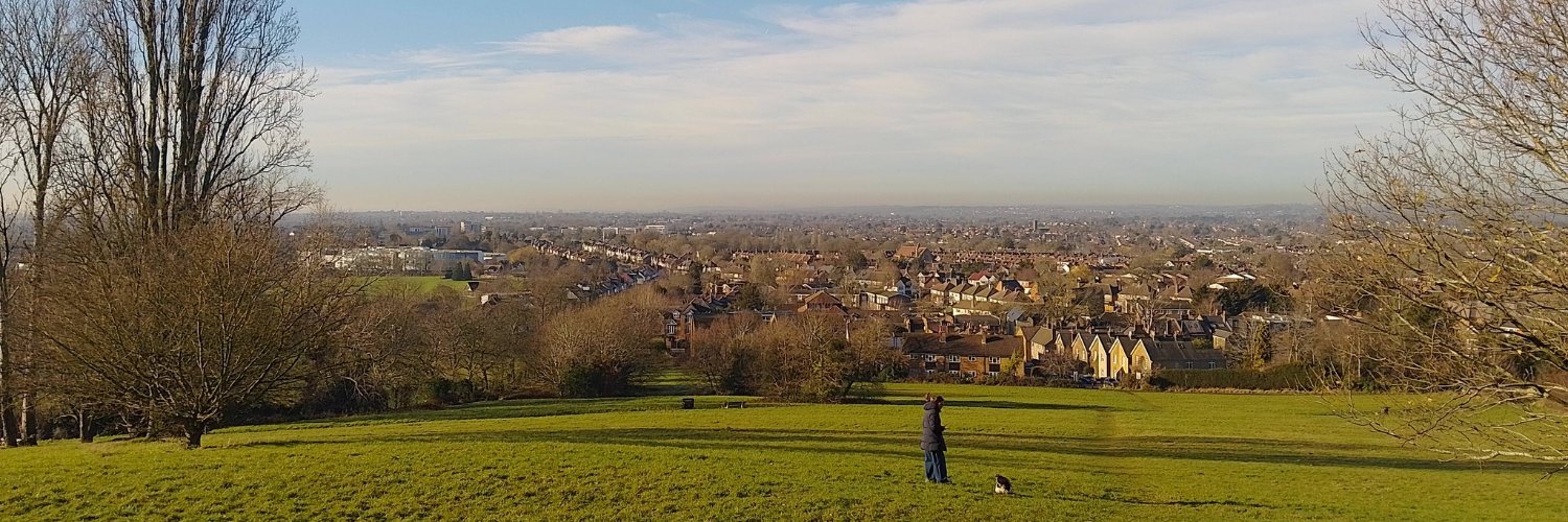 Matthew Judson banner