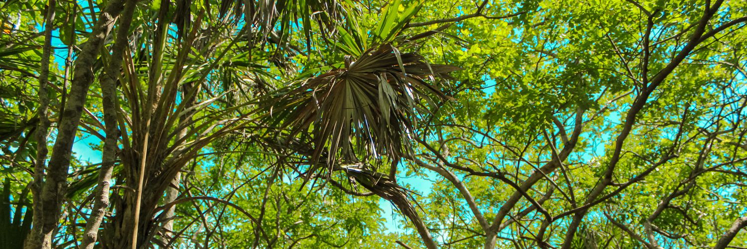 Humberto_Gro's profile banner image