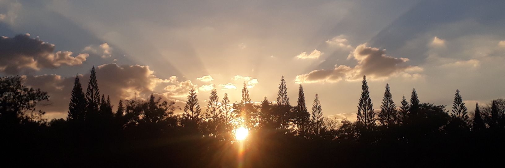 mylapot28's profile banner image