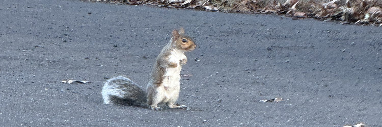 DEAN‼️ 🔜 AX7 banner