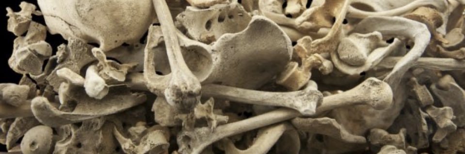 CryptopaedicSurgeon 🦴💀🦴 banner