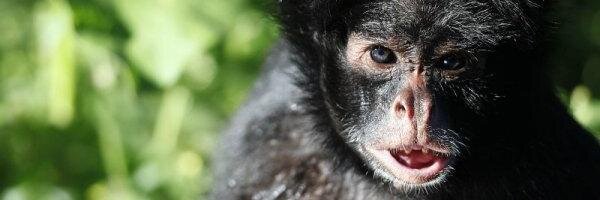 MH. banner