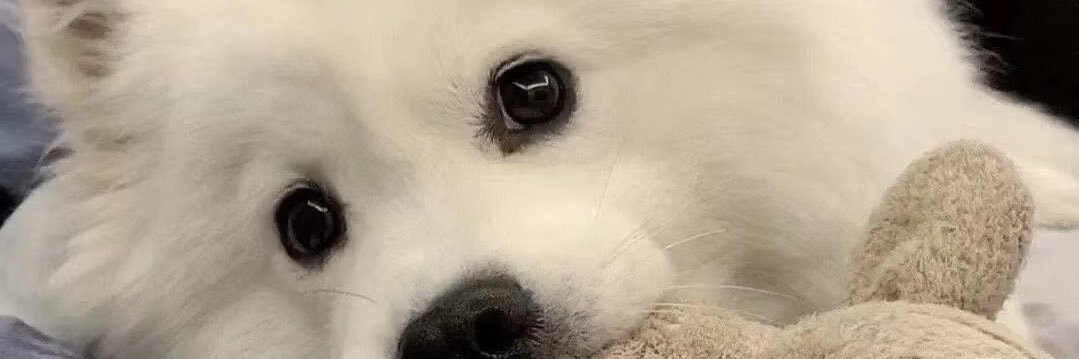 YouchuanWoW's profile banner image