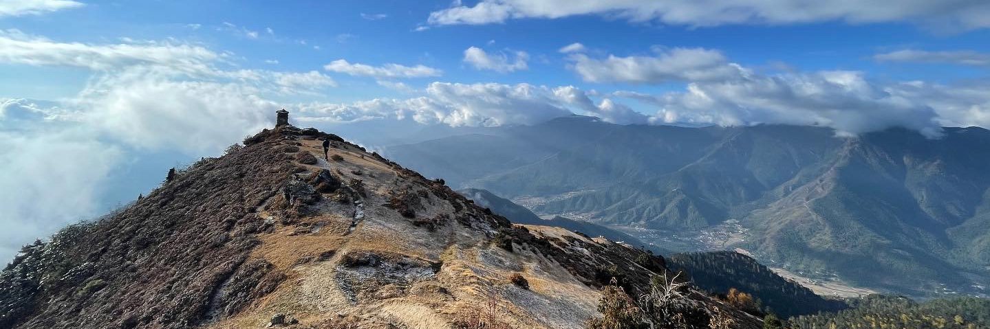 Alexandra Hampton banner