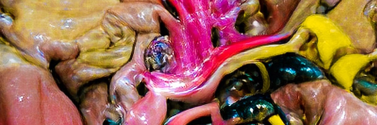 _chichicello banner