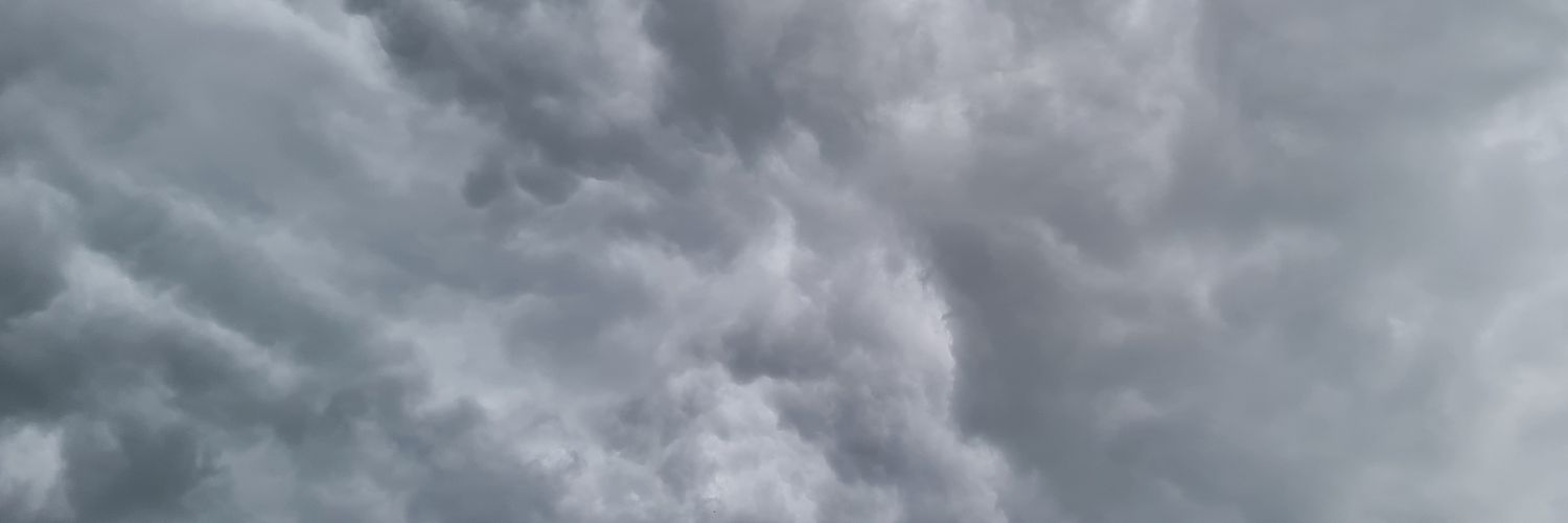 Black Cat banner