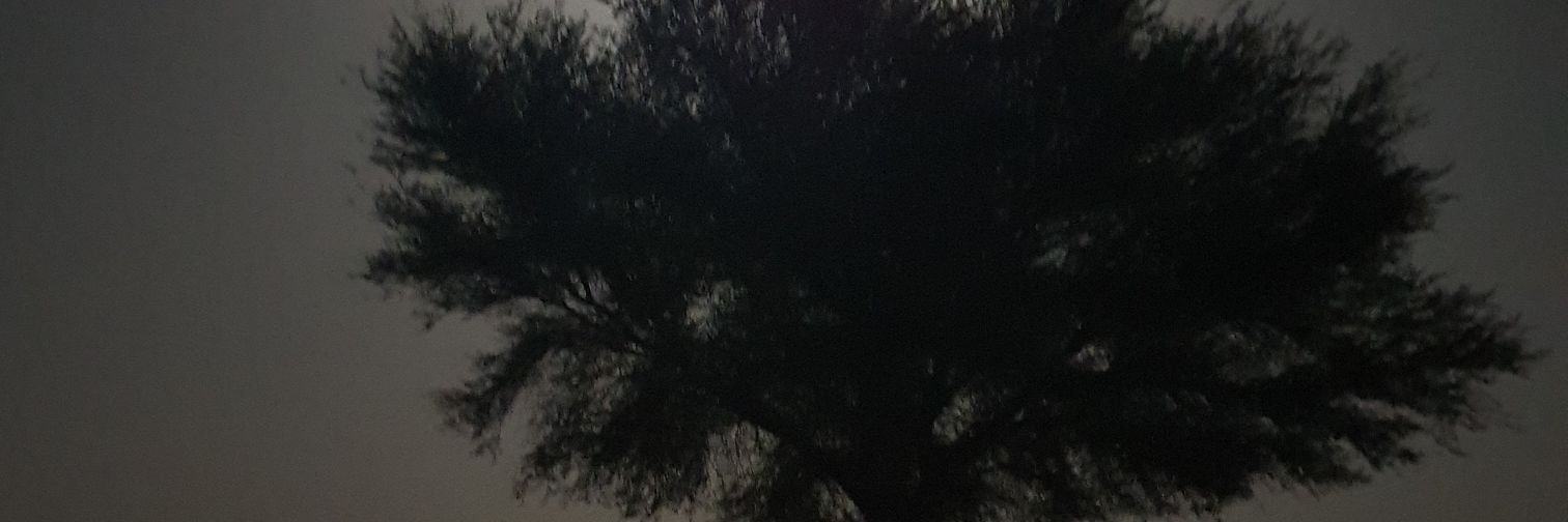 منير العتيبي ( أبو محمد ) banner