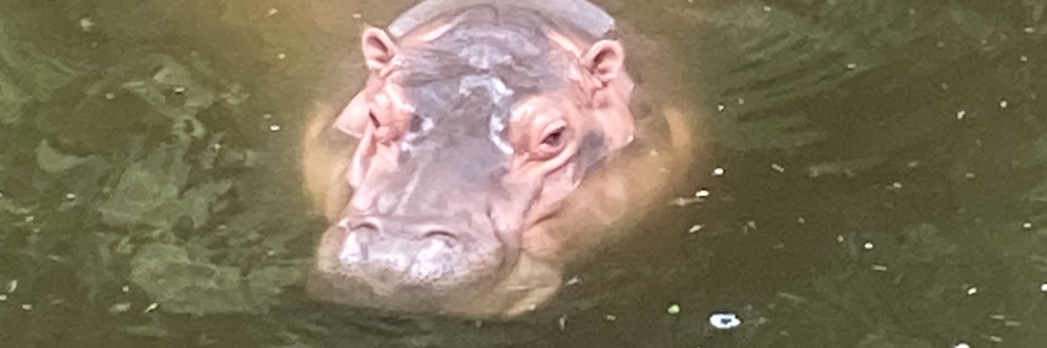 RAraxiel's profile banner image
