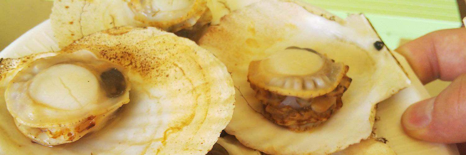 タケシイズグッタイミン banner