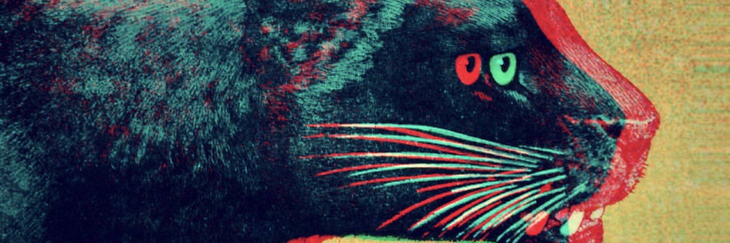 Pennu___gj6's profile banner image
