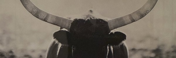 BassedBrego Profile Banner