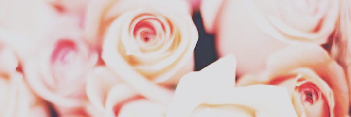 Katlauraann's profile banner image